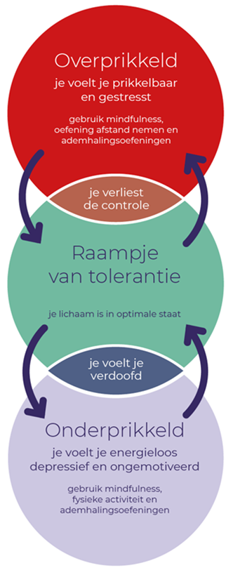 Raam van tolerantie