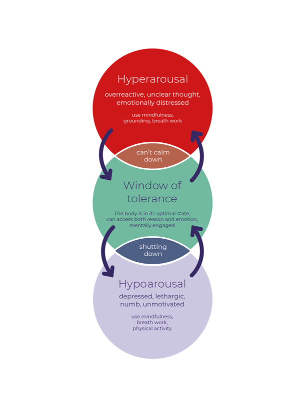 Window of tolerance